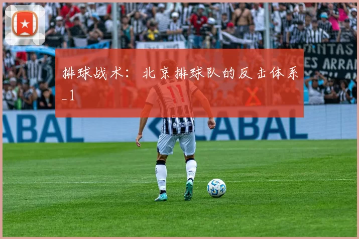 排球战术：北京排球队的反击体系_1