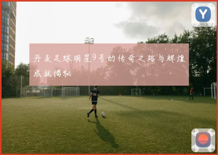 丹麦足球明星9号的传奇之路与辉煌成就揭秘