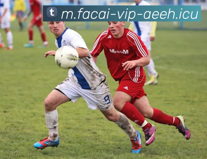 九游体育服务体系